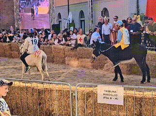 EduValencia giphyupload GIF