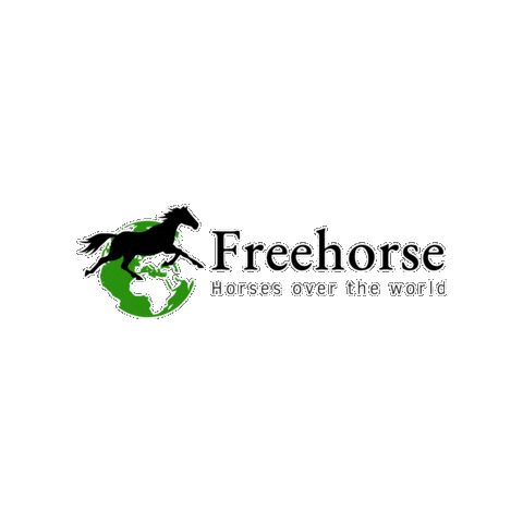 Freehorse giphygifmaker horse horses cheval Sticker