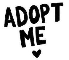 Adopt Animal Rescue Sticker