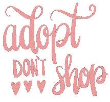 Adopt Animal Liberation Sticker