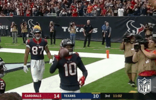 houston texans football GIF by NFL