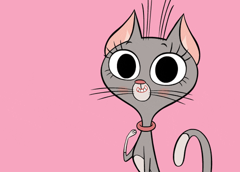 Sassy Cat GIF by ZIP ZIP
