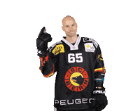 Untersander Sticker by SC Bern