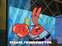 season 5 the two faces of squidward GIF by SpongeBob SquarePants