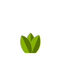 heysanj flowers rain plant tree Sticker