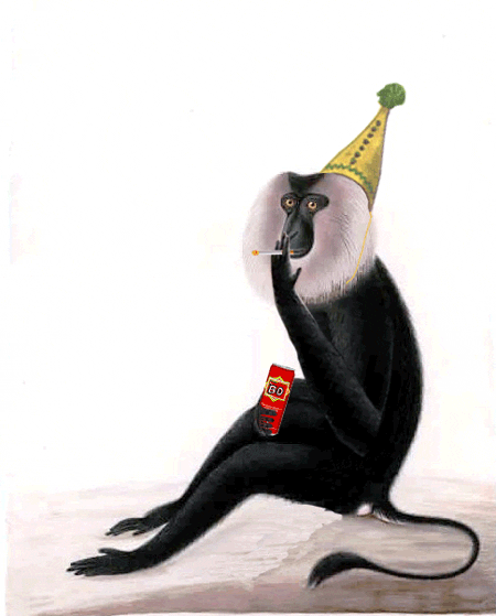 monkey smoking GIF by Scorpion Dagger