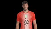 Germany Deal With It GIF by VfL Wolfsburg