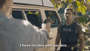 Who Are You Hawaii GIF by CBS