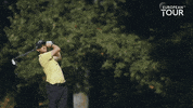 Golf Throw GIF by Unibet Belgium