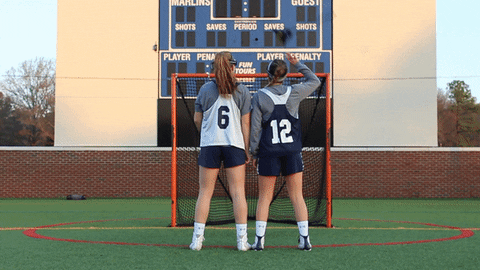 vwu_marlins giphyupload marlins vwu wethebeach GIF