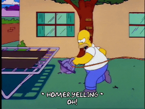 homer simpson GIF