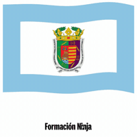 Costa Del Sol Flag GIF by Formación Ninja