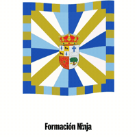 Bandera GIF by Formación Ninja