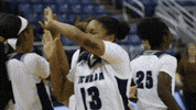 NevadaWolfPack college basketball nevada wolf pack nevada wolf pack GIF
