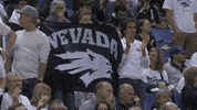 NevadaWolfPack college basketball nevada wolf pack nevada wolf pack GIF