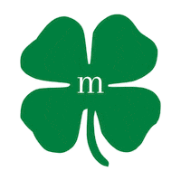 st-patrick montreal Sticker by M Real Estate
