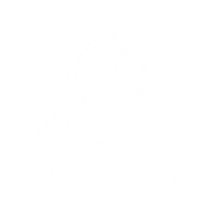 SkallywagMedia youtube video skull and bones skallywag Sticker