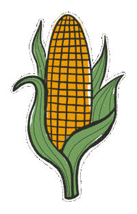 Corn On The Cob Sticker