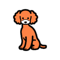 moffme dog pet 犬 ペット Sticker