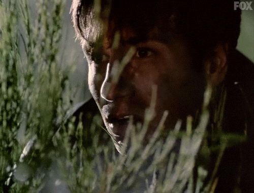 x files GIF by The X-Files