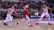 liga endesa basketball GIF by ACB