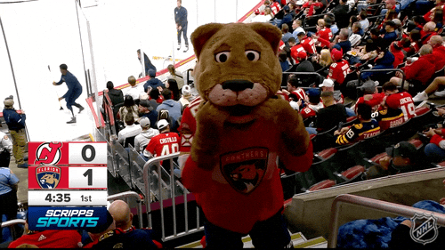 Happy Florida Panthers GIF by NHL