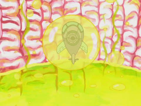 season 4 GIF by SpongeBob SquarePants
