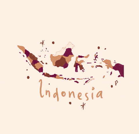 flanerywitoko indonesia bali tourism indonesian GIF