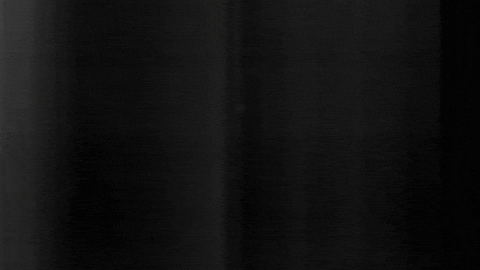 Football Sport GIF by SK Sturm Graz