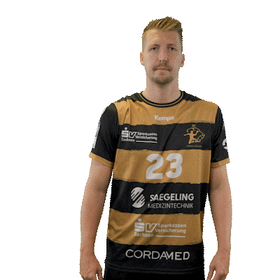 Handball Dresden Sticker by DAIKIN HBL