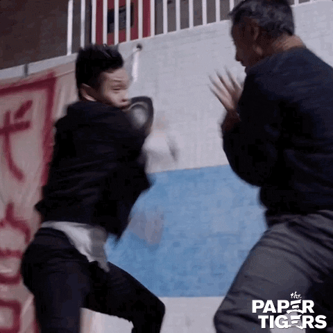 Martial Arts Movie GIF by AMP International