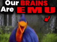 Bird Brain GIF