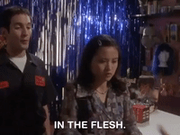 the mystery files of shelby woo nicksplat GIF