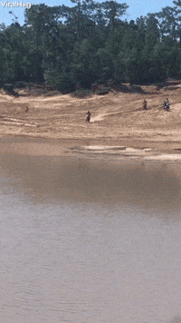motorcycle GIF by ViralHog