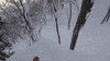 GIF by Red Bull