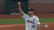 mlb postseason GIF by MLB