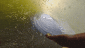 Wave Ocean GIF