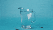 clearlyFiltered clearlyfiltered GIF