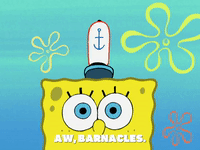 season 6 episode 20 GIF by SpongeBob SquarePants