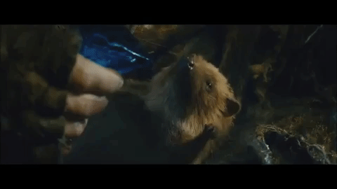 radagast saves sebastian GIF
