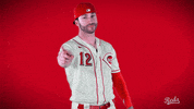 Tyler Naquin GIF by Cincinnati Reds
