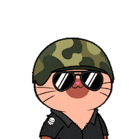 Cute Cat Copy That Sticker by Silly Kitties