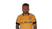 Greetings Celebrate Sticker by SG Dynamo Dresden
