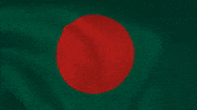Independence Day Bangladesh GIF