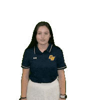 Clarke Golf Sticker by Clarke University