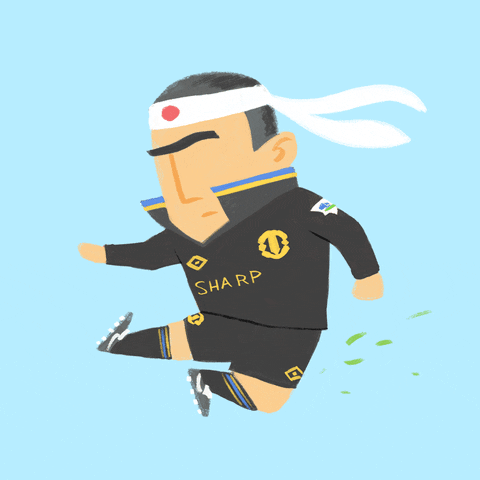 kung fu football GIF by Dan Leydon