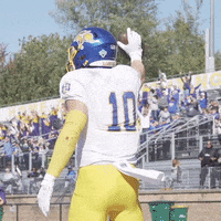 South Dakota Ndsu GIF by SDSU Football