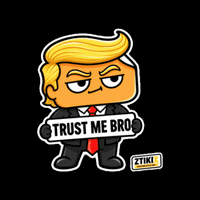 Donald Trump GIF by ZTIKIX