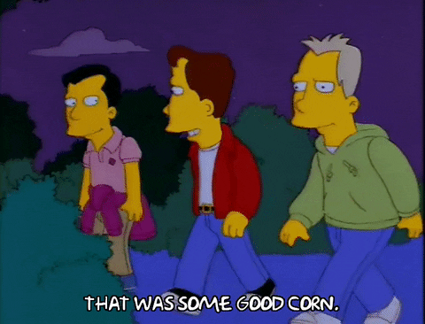 the simpsons episode 25 GIF