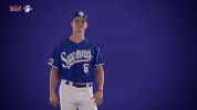 indiana state mvc GIF by Missouri Valley Conference